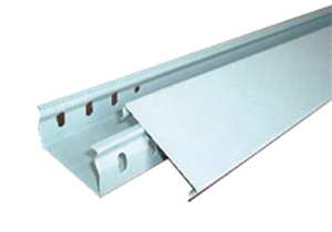 �����ֵ����ż�