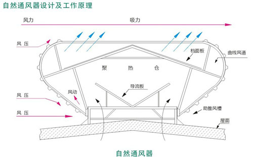 �ݶ�ͨ����